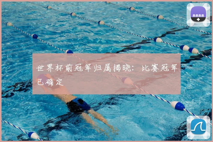 世界杯前冠军归属揭晓：比赛冠军已确定
