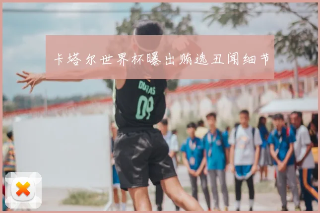 卡塔尔世界杯曝出贿选丑闻细节