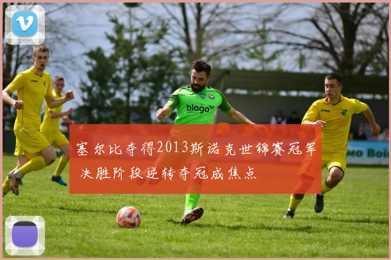塞尔比夺得2013斯诺克世锦赛冠军 决胜阶段逆转夺冠成焦点