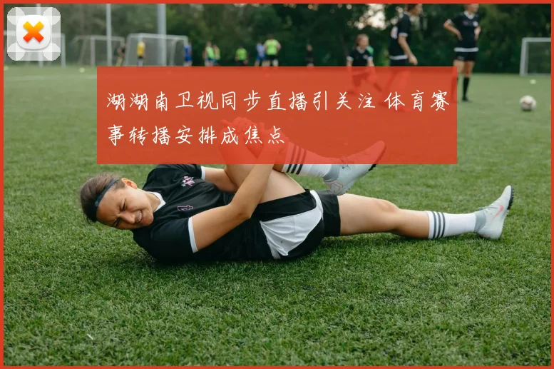 湖湖南卫视同步直播引关注 体育赛事转播安排成焦点