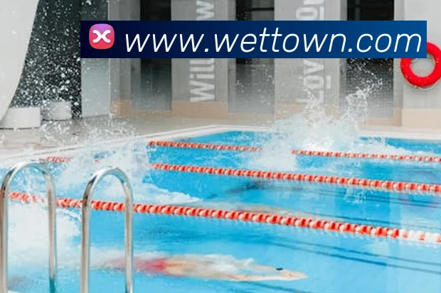 世界杯官网线上平台发展历程